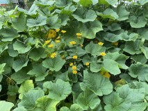 07735A74-2701-45C0-A999-F5784DDD7073