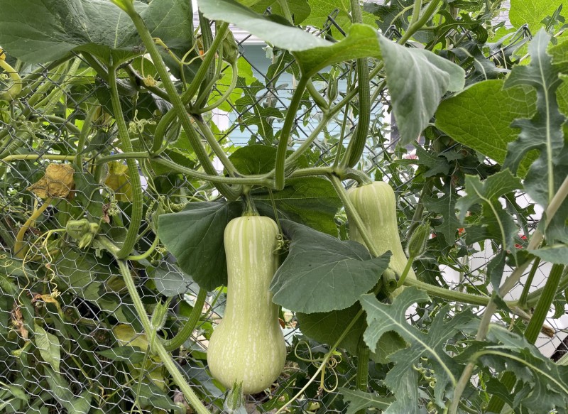 A7F5CAB3-B9C7-473B-B420-3655C57931A0