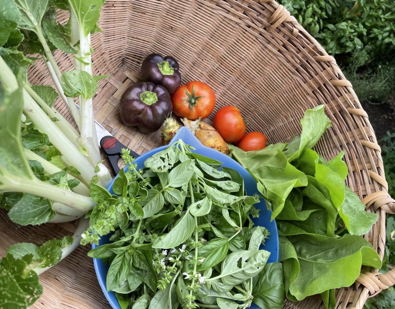 84F8DBC7-1A91-4A43-879D-DDA2345DE398