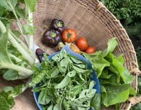 84F8DBC7-1A91-4A43-879D-DDA2345DE398