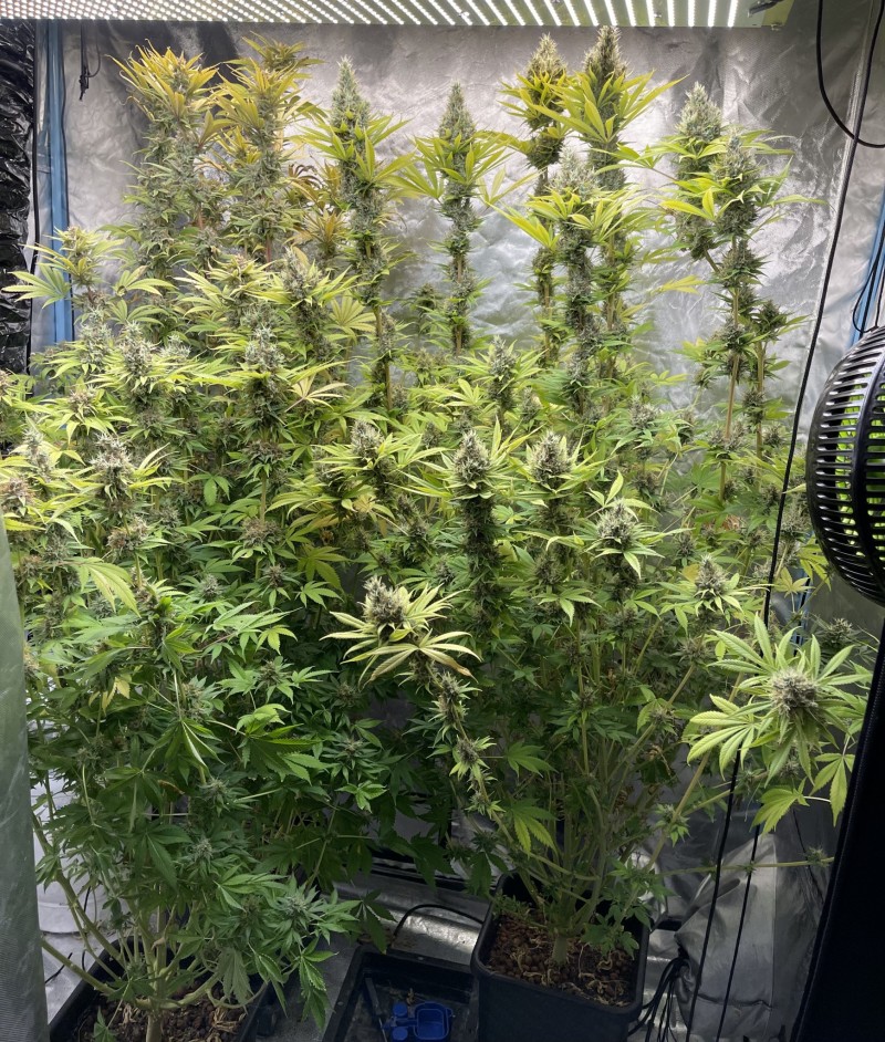 CC990C31-22B4-4449-B7D7-54373ADEFB72