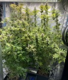 CC990C31-22B4-4449-B7D7-54373ADEFB72