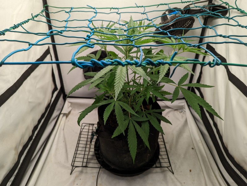 PXL_20220810_171722200