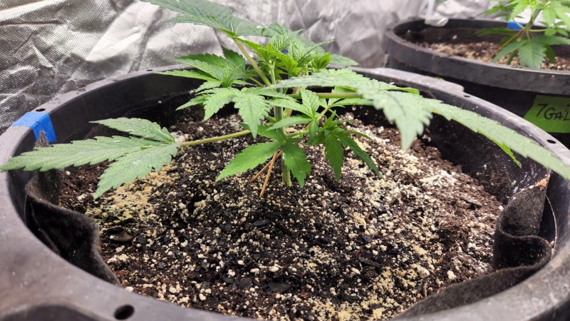 1660232629161740847975196209057