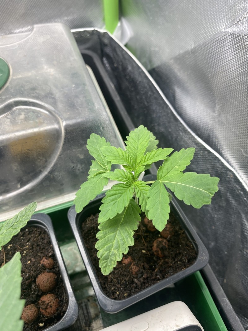 3C4C3616-E95C-492D-9B60-38504FE8BC42