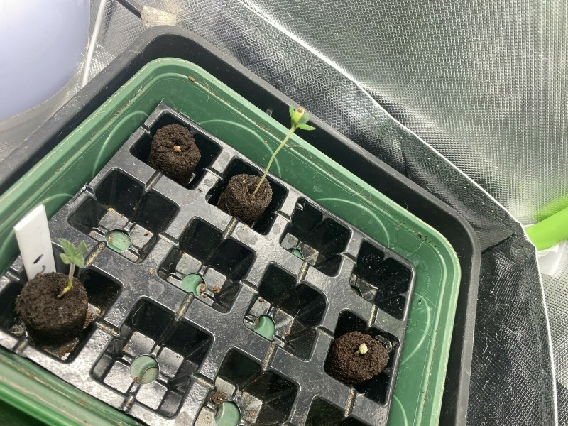 99D02ADD-104C-43B1-A183-CF87A3E53D4B