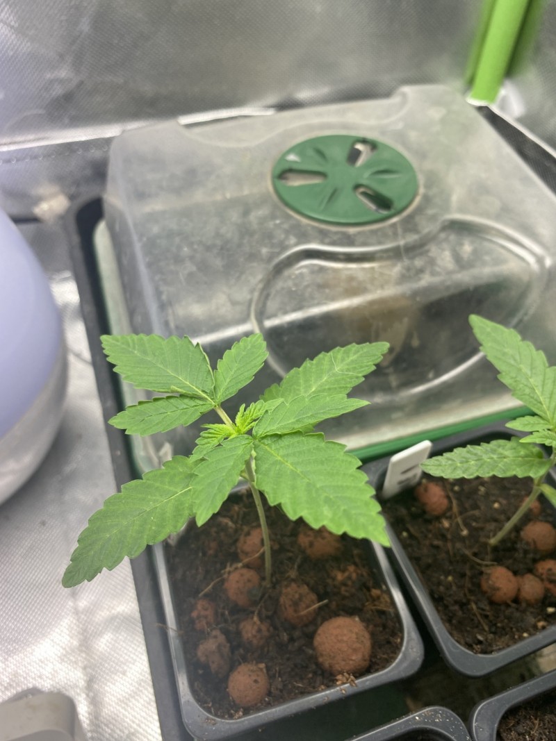 EA464EEE-F21C-4050-9C8D-BF0D9471B0C7