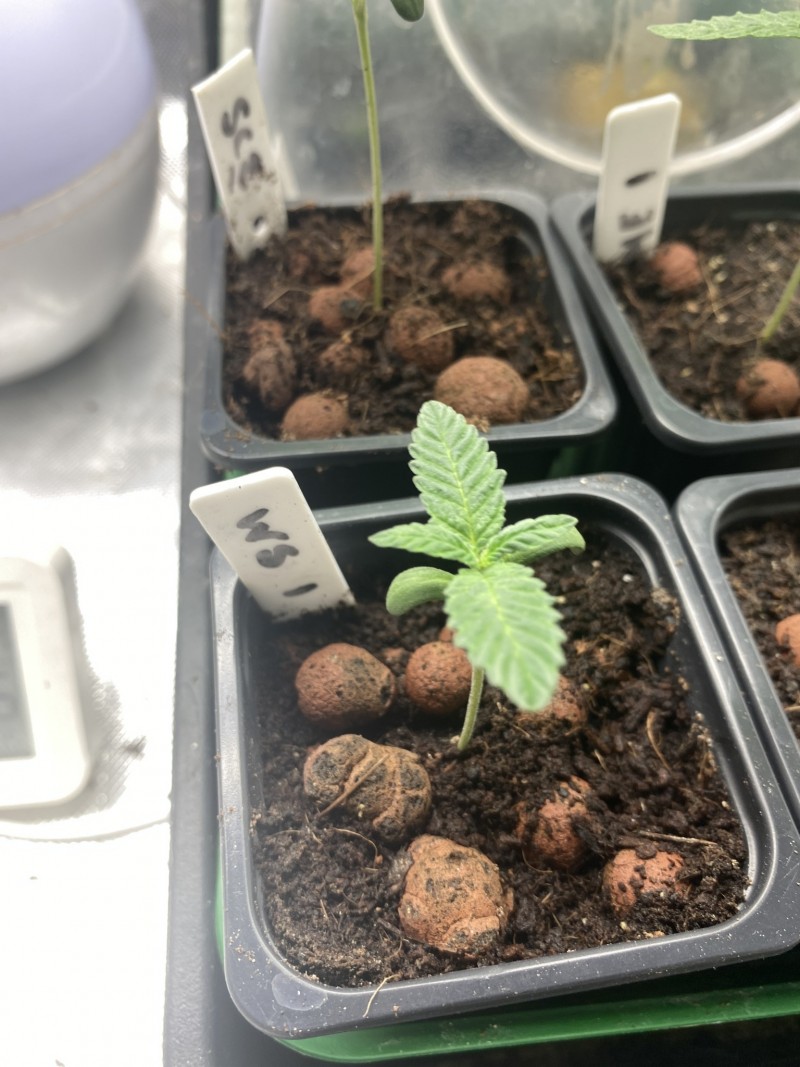 7EBE695E-9E77-4F32-A53E-107516D1C414