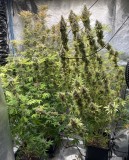 52FFAE1E-77DC-4B87-864A-654A449F9585