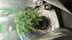 IMG_20220816_175148_404