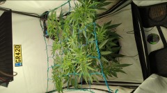 IMG_20220816_175320_525