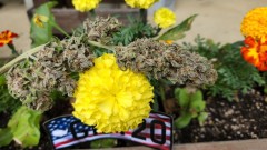 16606746922932310993417297739932