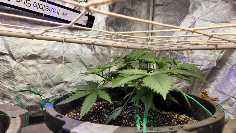 16607704059295914726839793188404