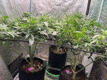 7E044EE5-7559-47AF-A6C6-E842E59DA3CE