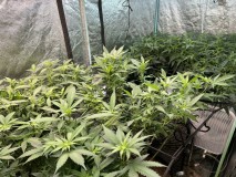 108A7806-FF00-4997-B148-1A48E403FA5B