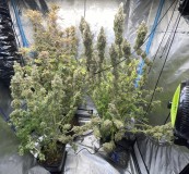 5F397C46-5D59-44F7-A880-9ACA5B6FC014