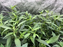 072CEF4A-BA4F-44AA-80B5-2472998982CF