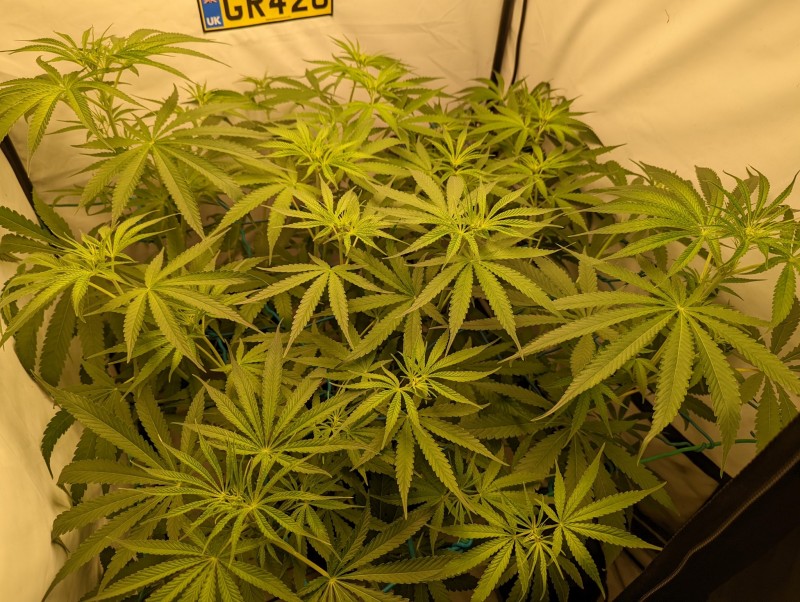 PXL_20220822_183309907