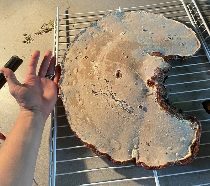 9C543452-C57E-4A0E-ACFF-1DAC76FCFE2F