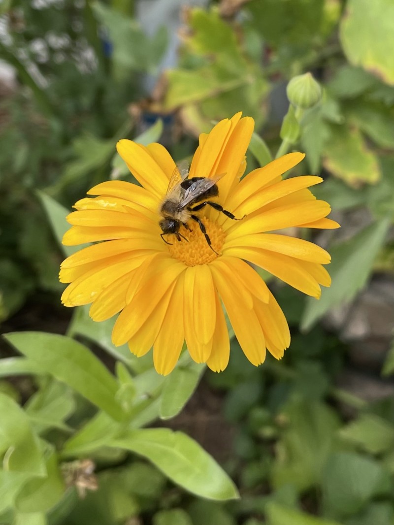 2D9D7829-12E5-4C53-A213-C2F88FF72F7D