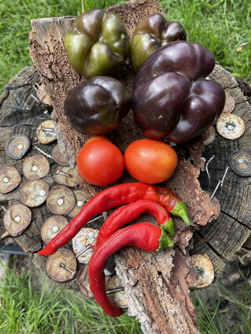 692D686E-E184-45AA-98ED-0222E1E704AE