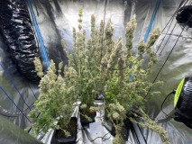 8C393E1E-5687-4AA0-915E-92A36B7E05FB