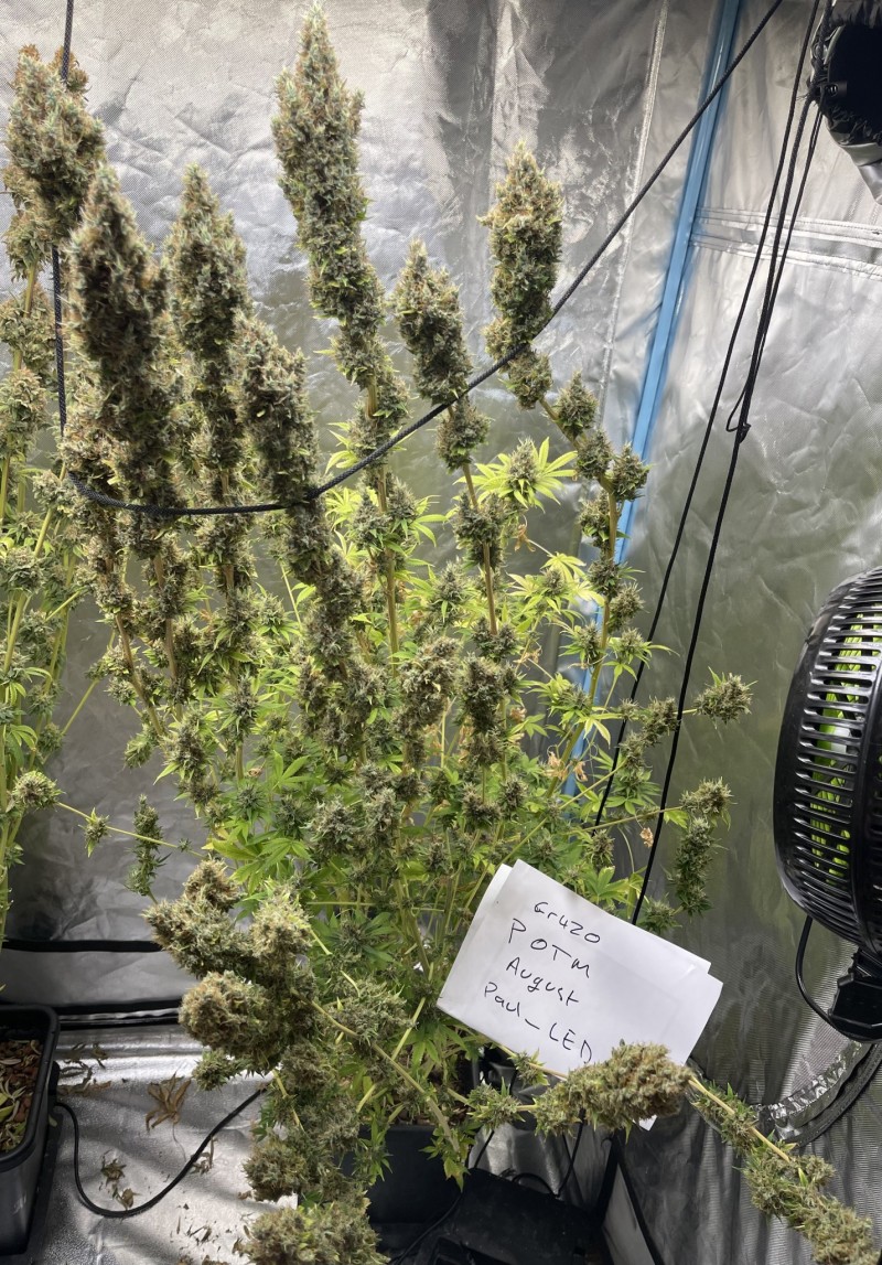 1AA23DDD-8C3C-4F38-9A48-0B7EFE4A8C1D