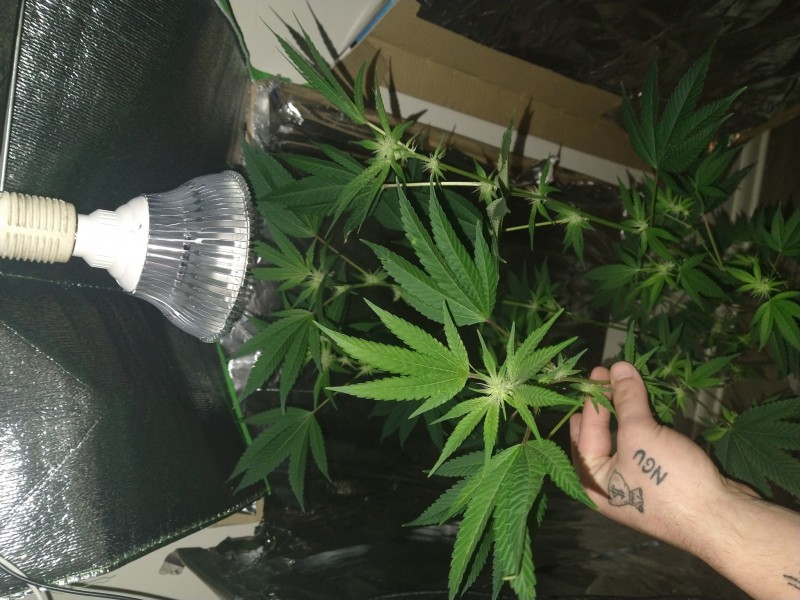 166130898937479412708476690427