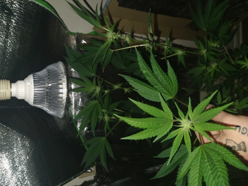 1661309085607598483002275617623