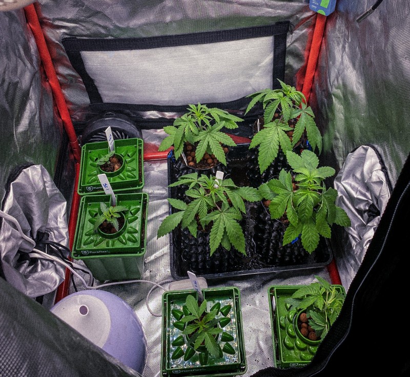 9241FF5B-65D9-4AA6-84FF-FC294743FA2A