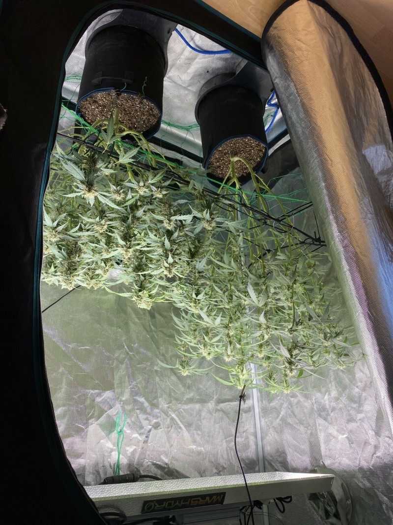 A13BF836-107C-4E19-8370-2B25F83577BF