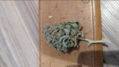 IMG_20220826_155638_710