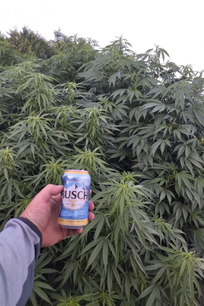 received_503583238158599