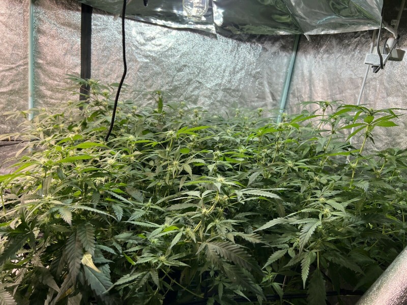 4C0803F1-AF9E-49A5-B161-9F3D1DCBCBD7