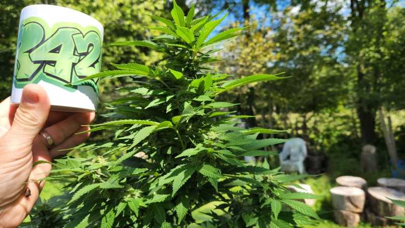 16619728334505798864998971205677