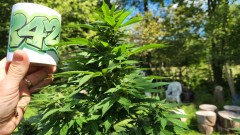 16619728334505798864998971205677