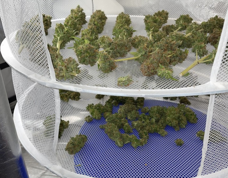 6FC2942D-8BFC-4123-A349-350ECD1E1F22