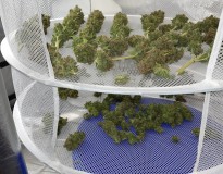 6FC2942D-8BFC-4123-A349-350ECD1E1F22