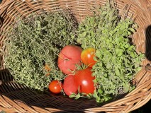 F7B7081F-7177-423F-9C08-A0C2EBD58093