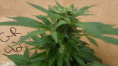 1662491679495364812019009559697