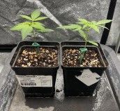 3808046F-314B-45AA-84A2-85E9989F9801