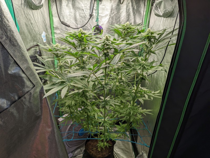 PXL_20220912_170046670