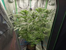 PXL_20220912_170046670