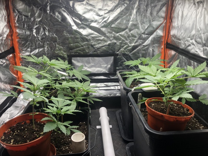 57627BC6-0FB4-4B0E-B284-07EE5024E082