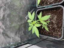 F78D1ED6-D2E3-467A-A3C1-DF2B4103EA26