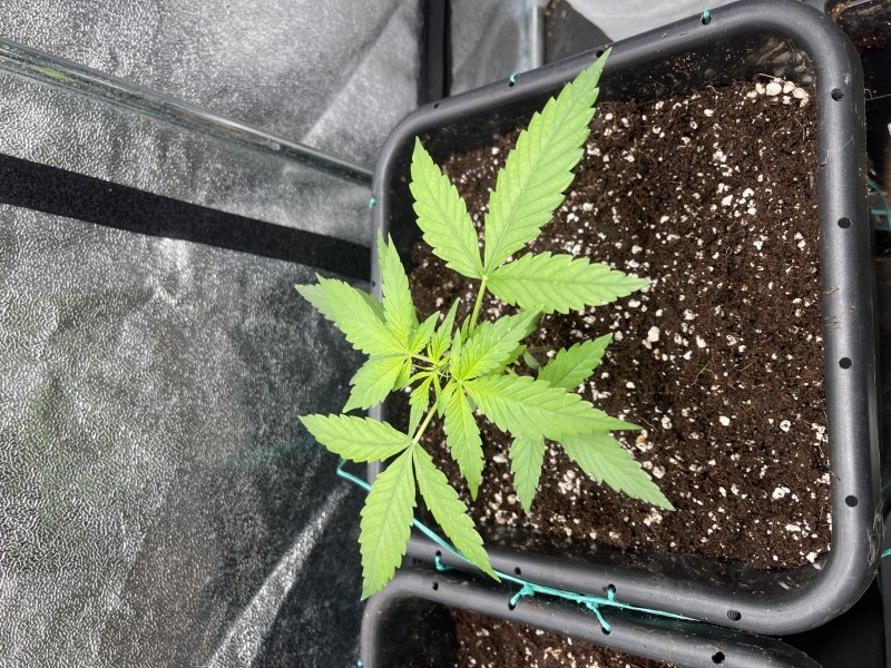 AE0F0DA3-B98A-4445-A632-FB95A0F26803