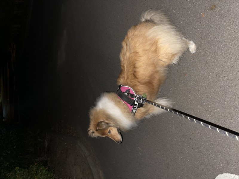 D7BE3E40-1B5D-4386-9AD1-21E94CE30D95