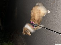 D7BE3E40-1B5D-4386-9AD1-21E94CE30D95