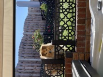 EB3040A5-11BA-41E5-9FF5-47C3D777DB97