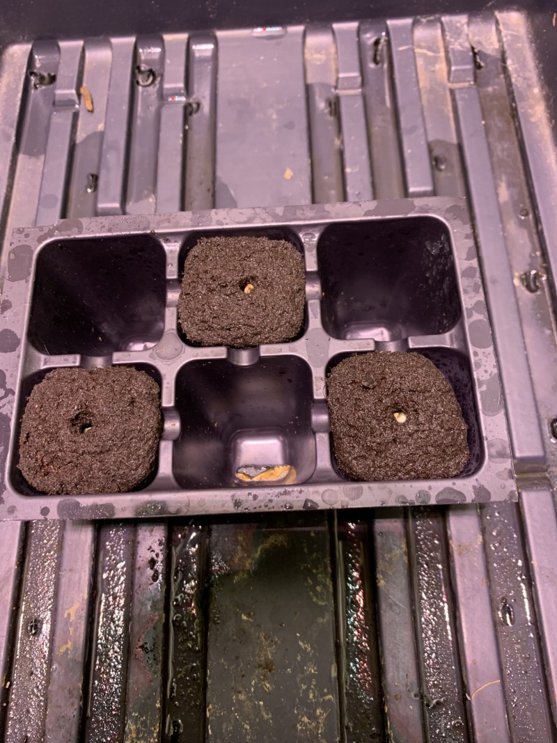 70A5E405-09C1-480D-BC13-1CDF782FB67A